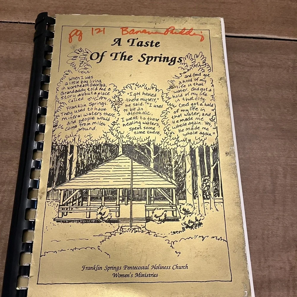 VTG A Taste of The Springs Cookbook Franklin Springs Georgia Church 1994 Comb